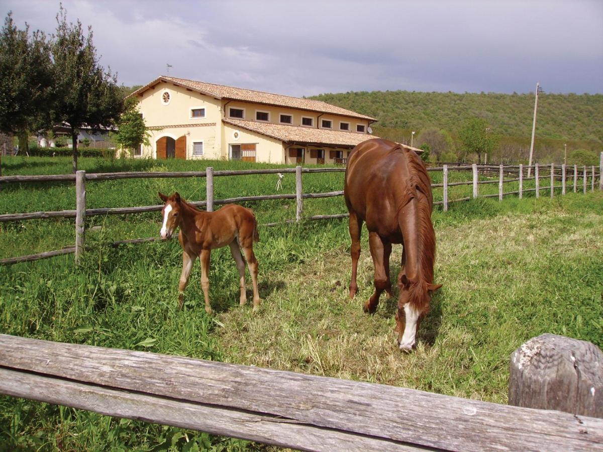 Agriturismo Potrero Grande Sul Lago Di Martignano Con Spiaggia Campagnano Di Roma Dış mekan fotoğraf