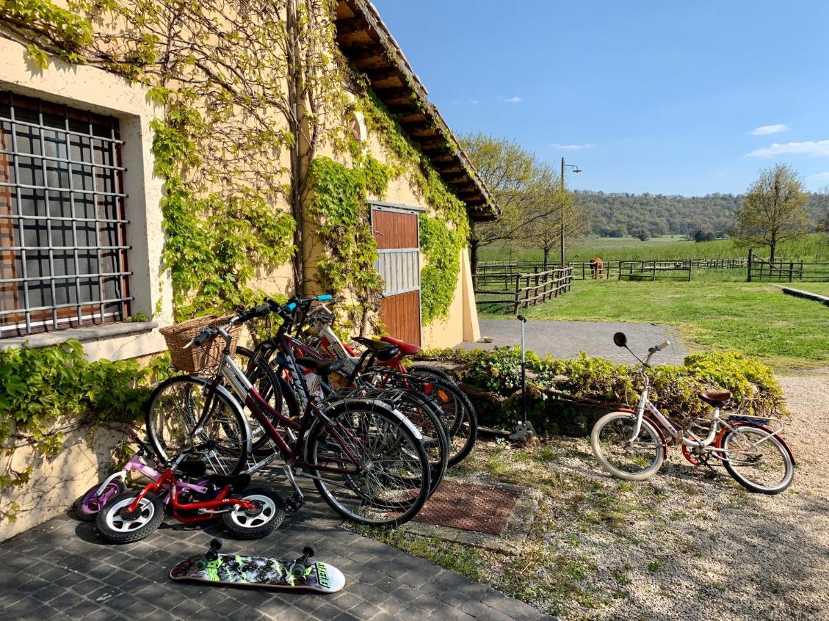 Agriturismo Potrero Grande Sul Lago Di Martignano Con Spiaggia Campagnano Di Roma Dış mekan fotoğraf