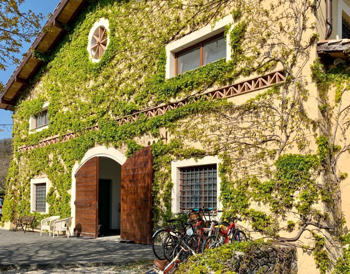 Agriturismo Potrero Grande Sul Lago Di Martignano Con Spiaggia Campagnano Di Roma Dış mekan fotoğraf