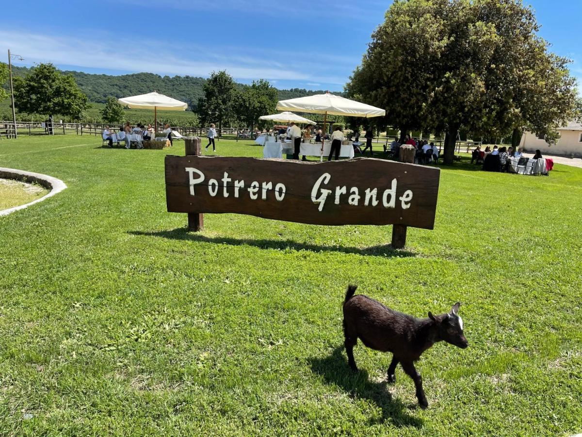 Agriturismo Potrero Grande Sul Lago Di Martignano Con Spiaggia Campagnano Di Roma Dış mekan fotoğraf