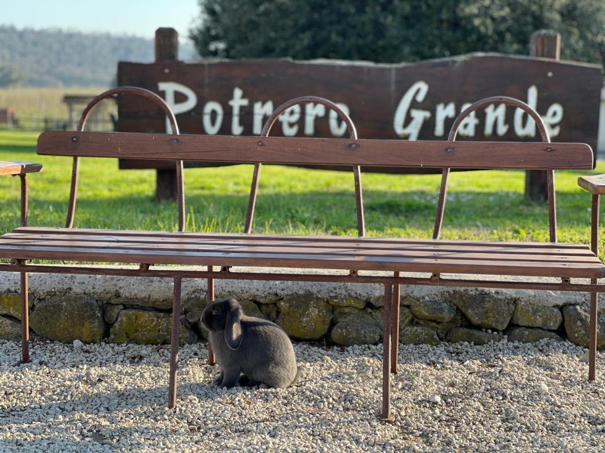 Agriturismo Potrero Grande Sul Lago Di Martignano Con Spiaggia Campagnano Di Roma Dış mekan fotoğraf