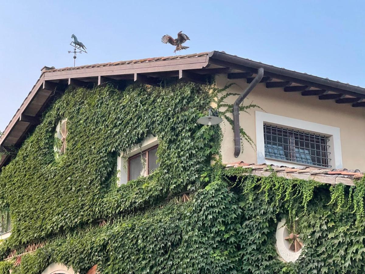 Agriturismo Potrero Grande Sul Lago Di Martignano Con Spiaggia Campagnano Di Roma Dış mekan fotoğraf